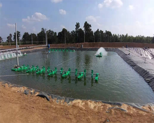 水产养殖 水产养殖